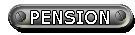 Pension and Retirement Plan